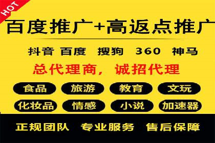 百度竞价广告投放策略案例